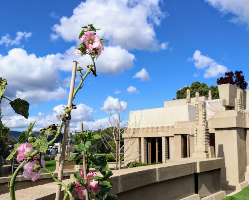 hollyhock house