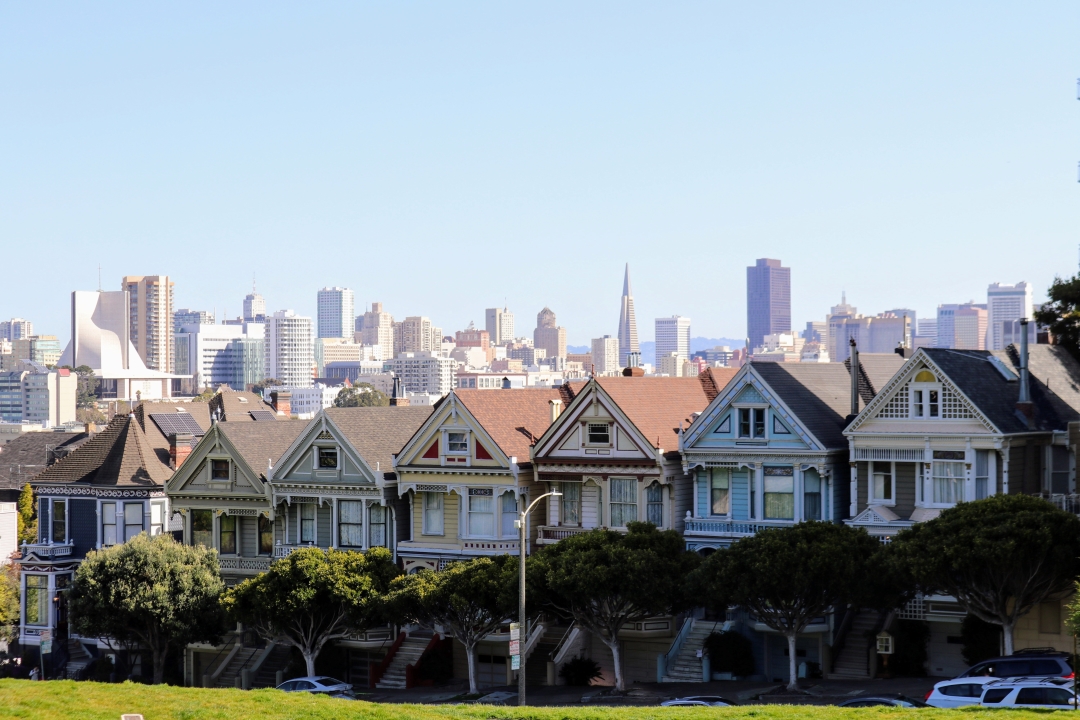 ThePaintedLadies