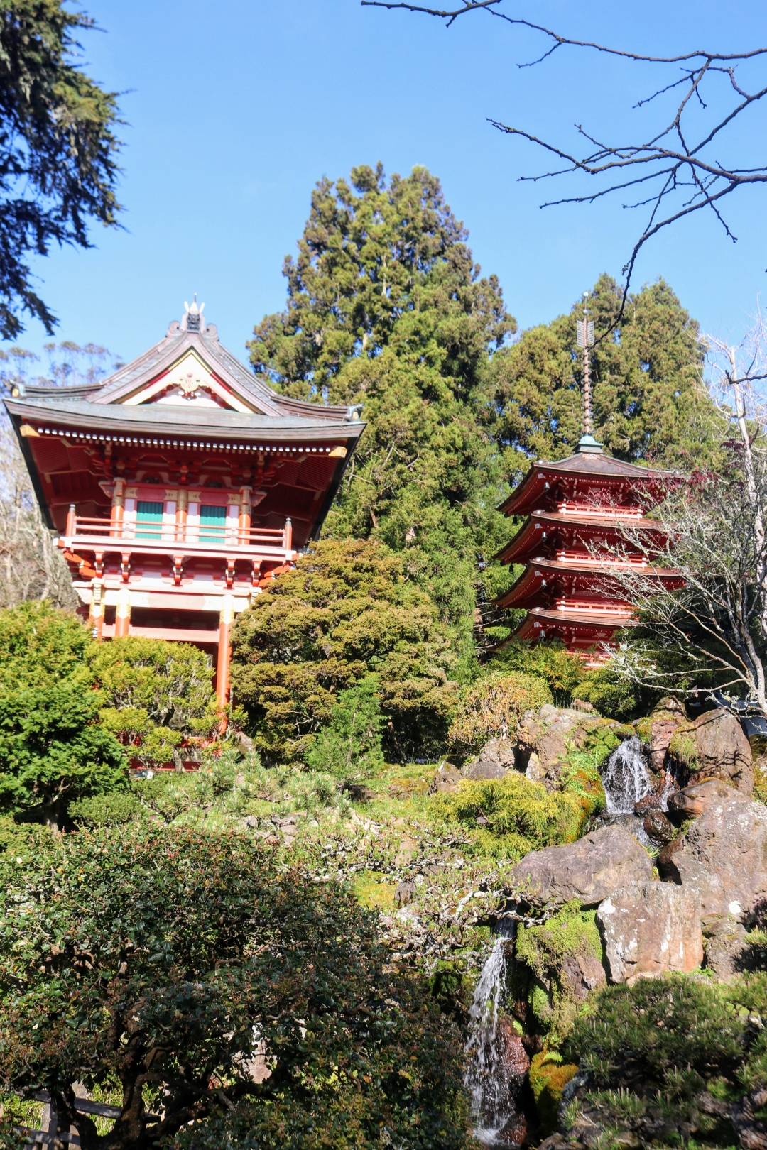 Japanese Tea Garden